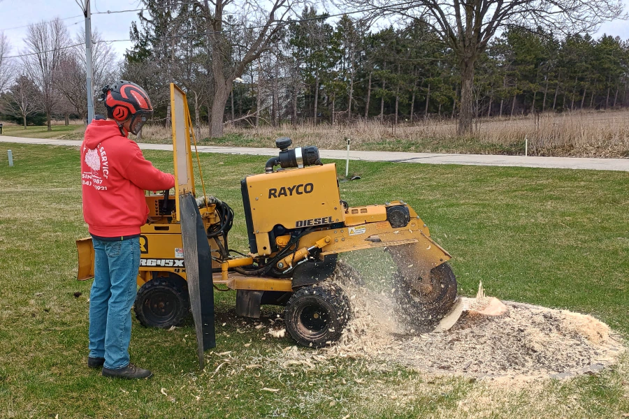 stump grinding